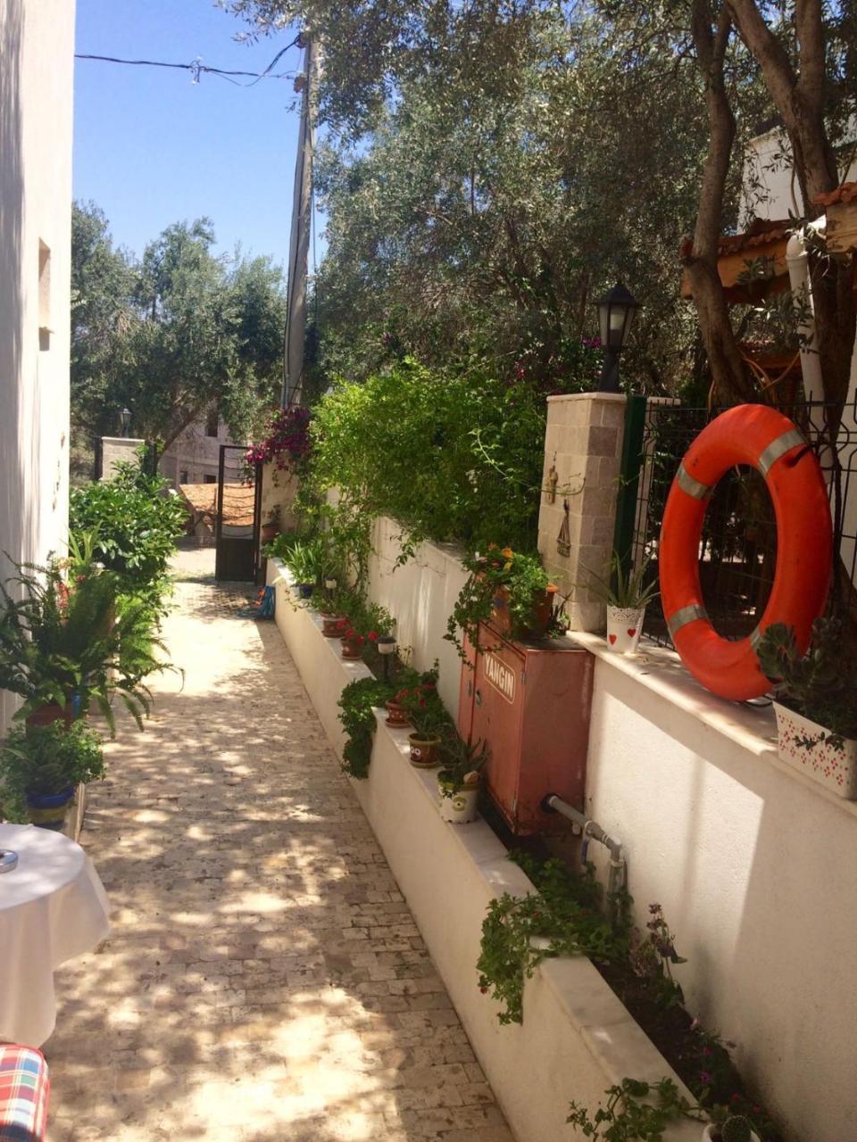 船长汽车旅馆 Siğacık 外观 照片